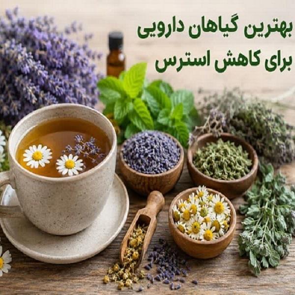 بهترین گیاهان دارویی برای کاهش استرس